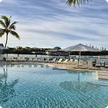 Resort swimming pool beneath palm trees