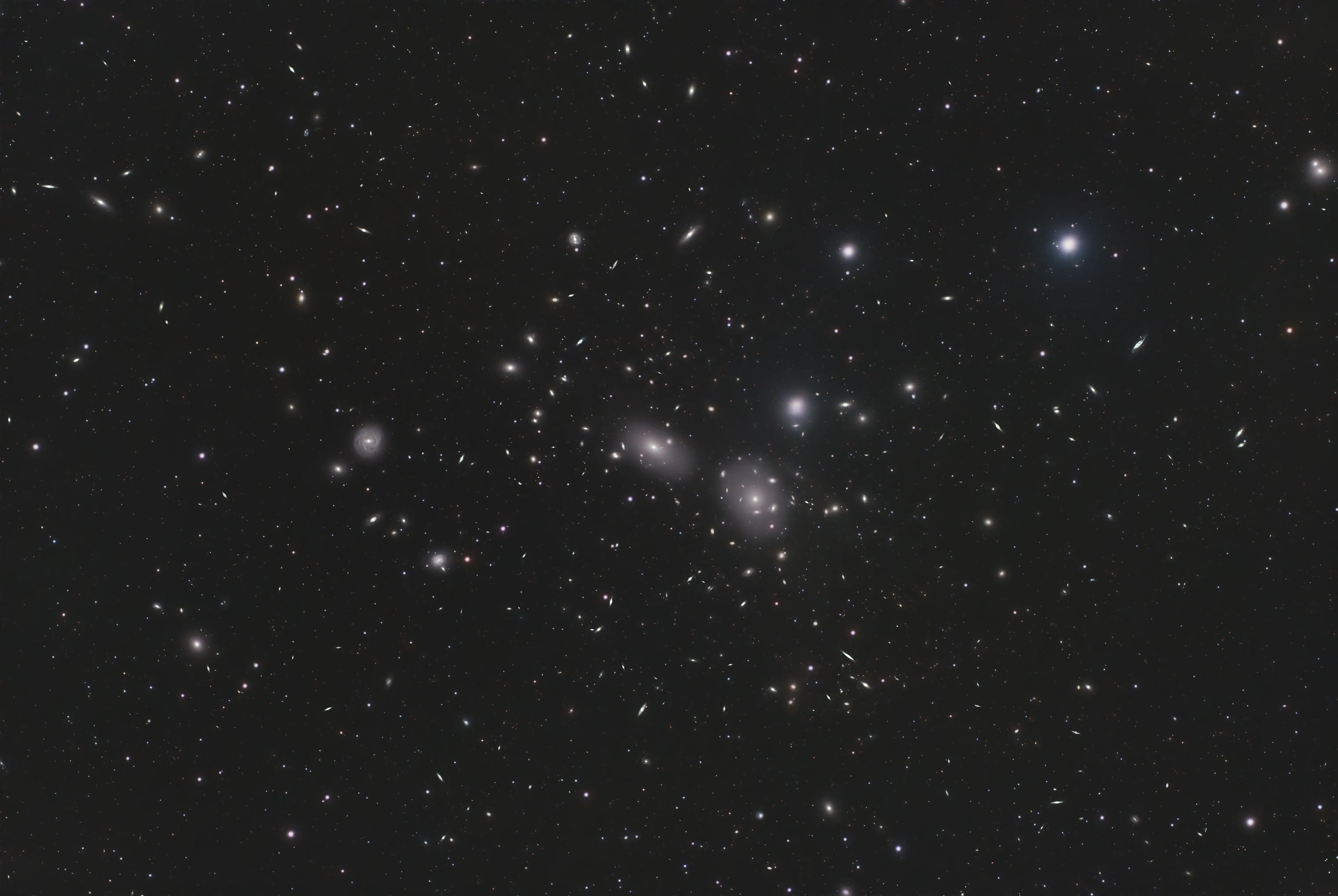Coma Cluster