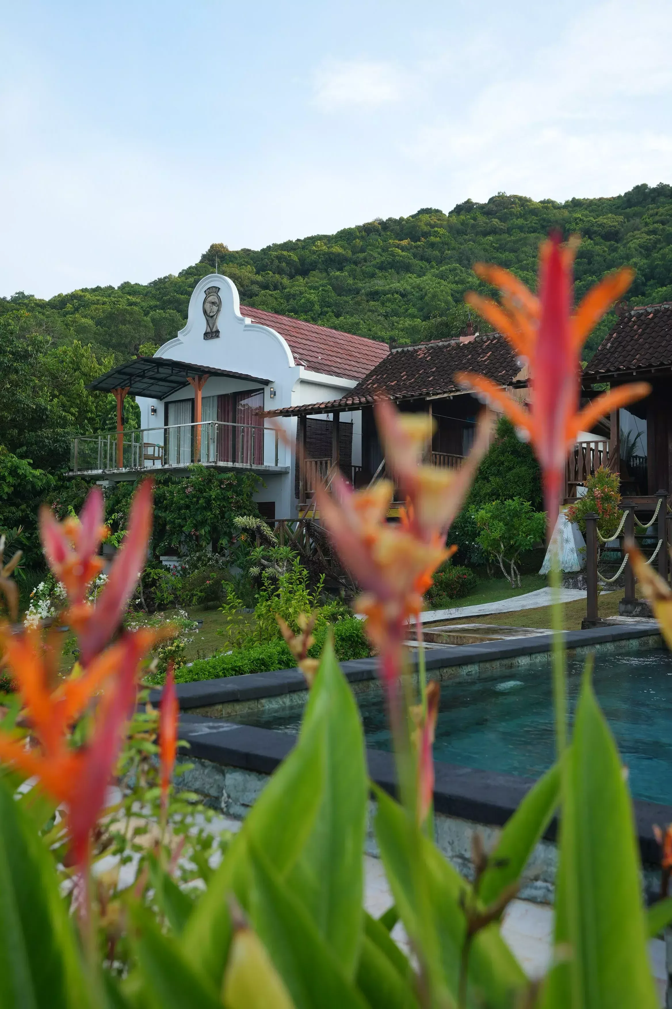 Aerial view of tropical villa grounds near the coast